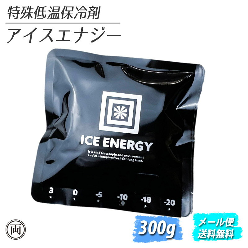 特殊低温保冷剤 アイスエナジー 300g