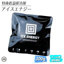 特殊低温保冷剤 アイスエナジー 300g アルミソフトケース ICE ENERGY 保冷 長持ち クーラーボックス 溶けない 凍結 レジャー キャンプ アウトドア 停電 災害 メール便 送料無料 23cool