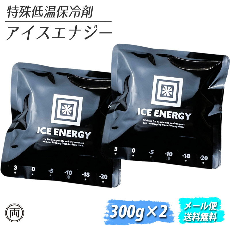 特殊低温 保冷剤 アイスエナジー 300g 2個セット お買得 アルミソフトケース ICE ENERGY 保冷 長持ち クーラーボックス 溶けない 凍結 レジャー キャンプ アウトドア 停電 災害 メール便 送料…