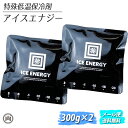 特殊低温保冷剤 アイスエナジー 300g ×2個セット お買得 アルミソフトケース ICE ENERGY 保冷 長持ち クーラーボックス 溶けない 凍結 レジャー キャンプ アウトドア 停電 災害 メール便 送料無料 23cool