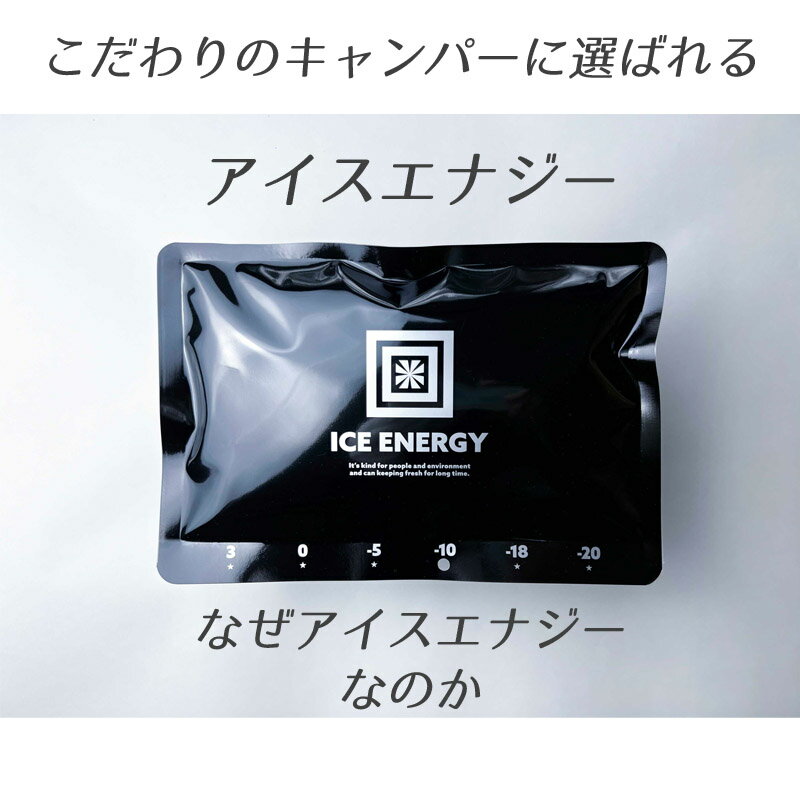 特殊低温 保冷剤 アイスエナジー 500g アルミソフトケース ICE ENERGY 保冷 長持ち...