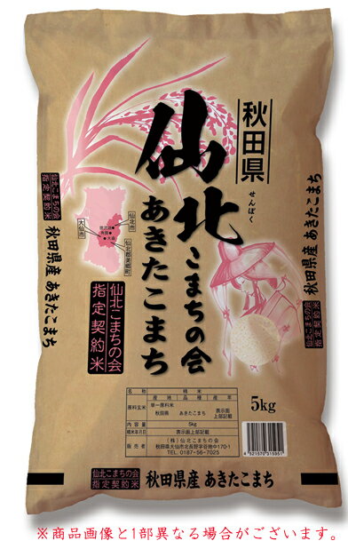 令和5年産 秋田県産 あきたこまち 5kg 米 お米 ライス ごはん ご飯 稲 大仙市 仙北市