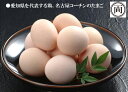 農場直送 濃厚な味わい 純系 名古屋コーチン卵 30個入り 愛知県産 こく 鶏 ニワトリ にわとり たまご 花井養鶏場 送料無料