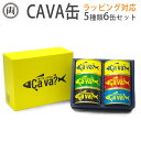 ラッピング対応 新6缶セット サバ缶 鯖缶 サヴァ缶 CAV...