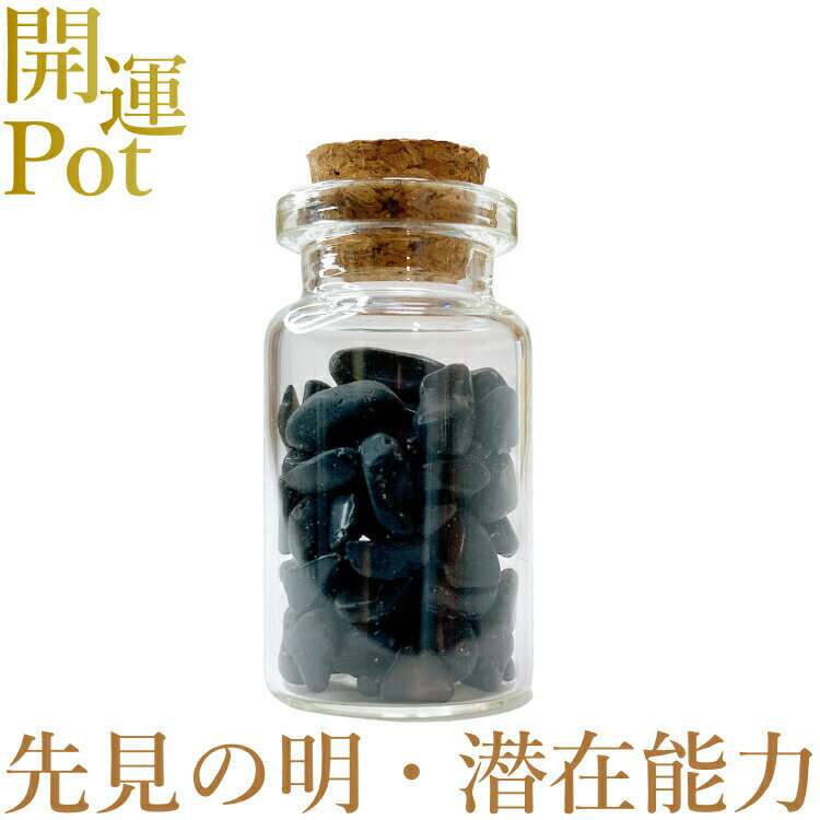  オブシディアン  星屑ミニポット  本質 未来を見通す力 潜在能力の開...