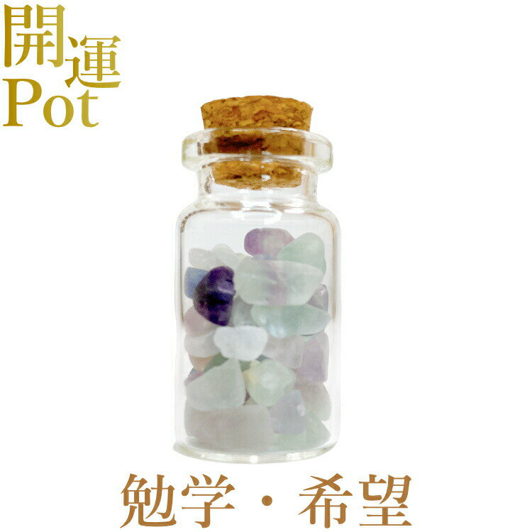  フローライト  星屑ミニポット  天才の石 発想力 記憶力 集中力の向上...