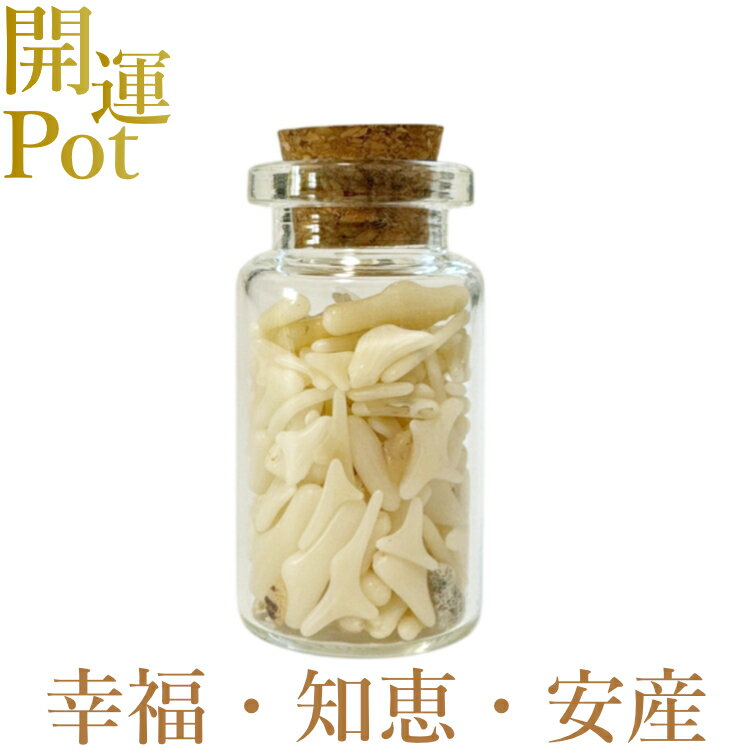  白珊瑚  ホワイトコーラル 星屑ミニポット  純粋 守護 安産 幸福な家...