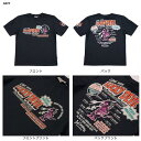 テッドマン 【TEDMAN】抜染TシャツTDSS-525『スケルトンテディー』