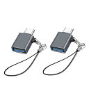 USB Type C & USB 変換アダプタ 2個セット USB3.2 Gen2 10Gbps高速転送 タイプC 変換 OTG対応 MacBook Pro 2021 MacBook Air 2022 iPad Pro 2021 及び ほかのUSB