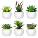 フェイクグリーン 観葉植物 フェイク 人工観葉植物 人工多肉植物 造花 光触媒 ミニ 鉢植え 6個 インテリア ミニ盆栽 フェイクグリーン 卓上 雑貨 小さい ギフト