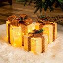 クリスマス 飾り ツリー ライト 屋外 室内 LED イルミネーション ストリングライト 電池式 ギフトボックス クスミニ電球妖精 照明 Xmas プレゼント ...