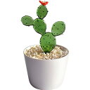 るり製 工芸品 装飾 飾り物 オブジェ 小物 鉢植え インテリア 置物 人工植物 ミニ植木鉢 オーナメント 手作り 玄関 机 テーブル ガラスアート (葉型のサボテン)(3)