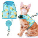 猫 ハーネス リード セット 猫用ハーネス 調節可能 胴輪 猫用品 ベスト 通気メッシュ 夜反射 軽量 簡単装着 散歩 お出かけ 抜けにくい 脱出防止 マジックテープ ダブルロック 子猫 ねこ ネコ(ブルー, S)