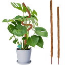 2本セット 園芸支柱 植物支柱 観葉支柱 つる性植物 観葉植物 サポート 誘引 支柱 ココナッツ支柱 農業用 園芸用