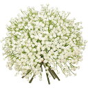 造花 花束 アートフラワー インテリア かすみ草 ブーケ 10本セット フェイクグリーン 本物そっくり 母の日 卒業式 結婚式 記念日 (クリーム, 長さ25CM)