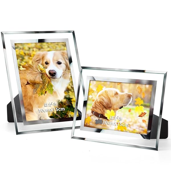 フォトフレーム はがき 100x150mm サイズ ガラス 写真 額 スタンド付き 卓上用 写真立て セット 2枚