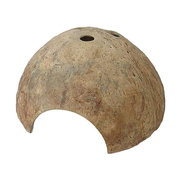 ココナッツハウス ドッジハウス 隠れ家 爬虫類 小さなペット かわいい ナチュラル ココナッツ シェル 洞窟 上部に穴がない 【直径12～14cm】