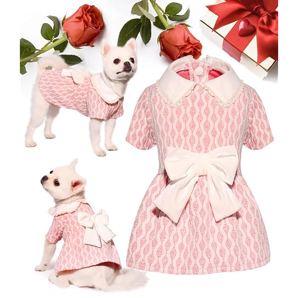 お姫様 犬の可愛いワンピース 秋冬服 バレンタイン・デー 蝶結び レースの襟 ファッション ドレス 半袖..