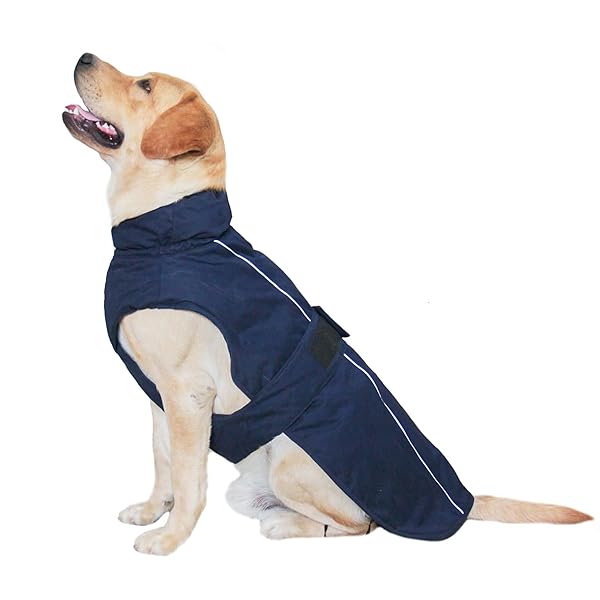 犬服 防寒着 防水 ジャケットベスト ペット服 一体型綿入れ 袖なし コート秋冬服 ダウン 小中型犬 大型犬 夜間反射 防風 防寒 着脱簡単 お散歩服 (S, ブルー)