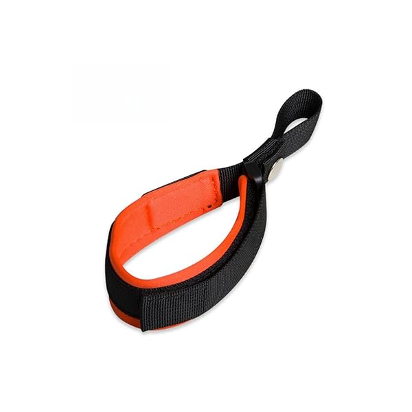 犬 ラロック 伸縮 リード用 ストラップ フリーハンドストラップ サイズ 調整可能 リード (オレンジ)