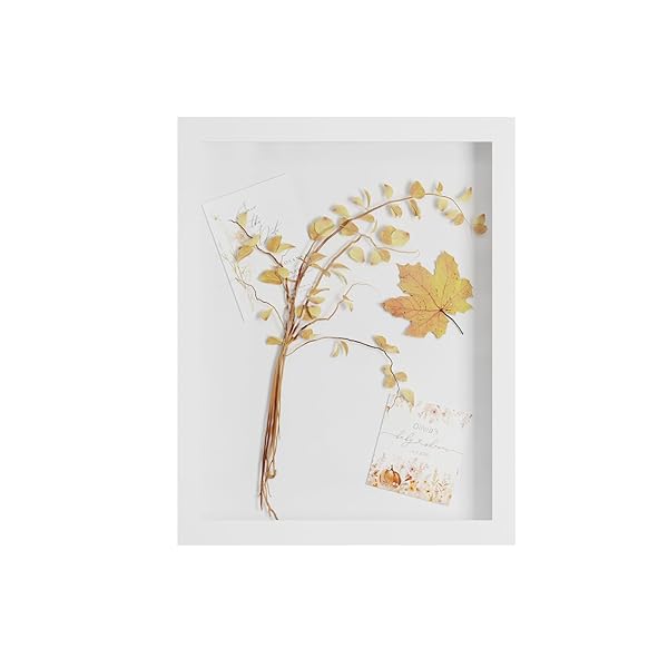 8.5x11 ɥܥåե졼ǥץ쥤 ʪΥ饹դ 3Dԥ㡼ե졼 ǰ ե ̿ 뺧 (ۥ磻)