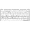 X75 ホットスワップメカニカルキーボード 透明なキーキャップ ガスケット装着75キーボード RGBバックライト付き ゲーミングキーボード Windows/Mac対応(Kailh ジェリーフィッシュ軸、有線ホワイト)