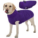 犬服 犬用防寒コート 防寒ジャケット ベスト 暖かい服 防水 着脱簡単 ファスナー付き Dリング ドローストリング調節 洗濯機洗い パープル3XL 胸囲110c...