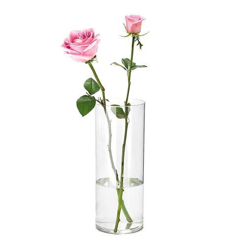 花瓶 割れない 透明 フラワーベース アクリル おしゃれ 上品 大きい インテリア 花器 水栽培 生け花 造花用、リビング、寝室、オフィスなどの装飾に適しています (直径15cm 高さ30cm ) 花瓶 割れない 透明 フラワーベース アクリル おしゃれ 上品 大きい インテリア 花器 水栽培 生け花 造花用、リビング、寝室、オフィスなどの装飾に適しています (直径15cm 高さ30cm )