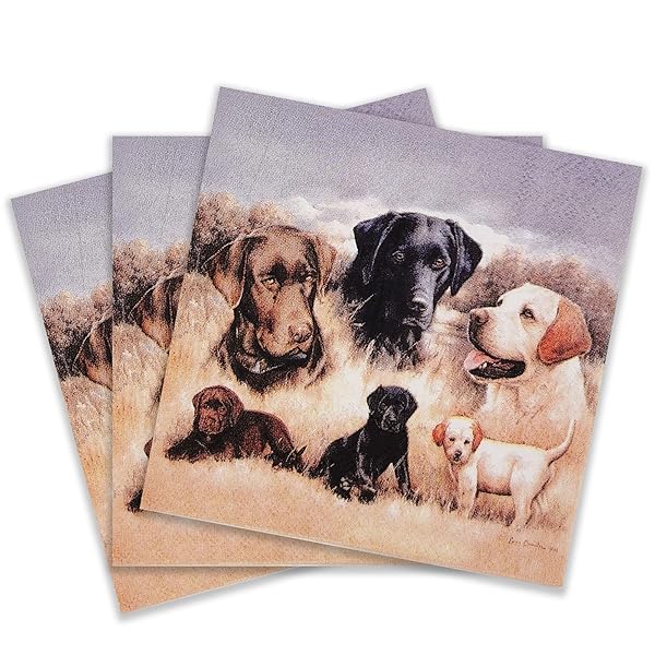 色紙 カクテル ナプキン 20 枚 シャビーシックナプキン 結婚式 ディナ ティーパーティ シャワ 子犬