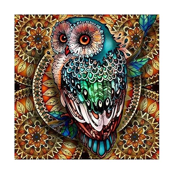 KAKISO 30x30 cm カラフルなフクロウカラフルな鳥 DIY 5D ダイヤモンド塗装ビーチキット番号ラインストーン個別塗装クロスステッチフルドリルクリ...