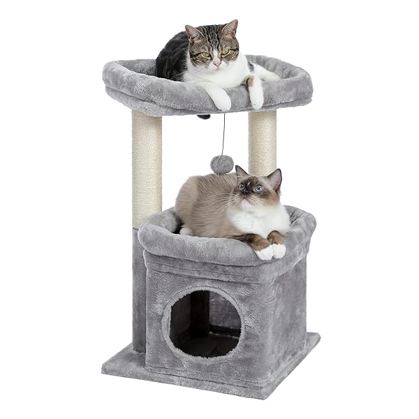 Amazon | PAWZ Road キャットタワー 多頭飼い 大型猫用 スリム