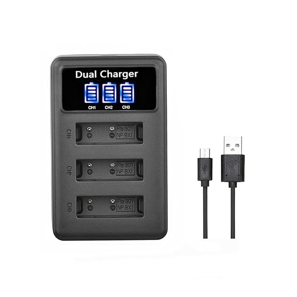 SHEAWA NP-BX1 充電器 USB充電 充電情報