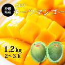 【送料無料】沖縄産 キーツマンゴー1.2kg(2玉〜3玉)化...