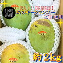 【訳あり】【送料無料】沖縄産キーツマンゴー2kg(2玉〜5玉...