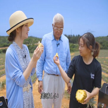 【送料無料】沖縄産スナックパイン 2玉〜5玉 (2.8Kg以上) ちぎって食べるパイン ボゴール