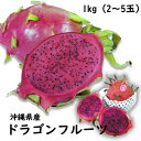 【送料無料】沖縄産ドラゴンフルーツ赤色1kg(2〜5玉)食物繊維が豊富な無添加 沖縄フルーツ