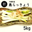 【送料無料・即発送可】沖縄県産 島らっきょう5kg(土付き)食べ方説明書付き国産 ラッキョウ らっきょう