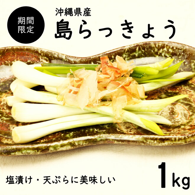 【送料無料・即発送可】沖縄県産 島らっきょう1kg(土付き)食べ方説明書付き国産 ラッキョウ らっきょう