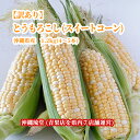 沖縄県産とうもろこし(スイートコーン)1.2kg(4〜5本)国産 とうもろこし スイートコーン