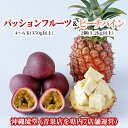 【送料無料・即発送可】沖縄県産パッションフルーツ＆ピーチパイン食べ比べセット4〜6玉(350g以上)＆2個(1.2kg以上) その1