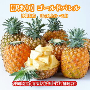 沖縄県産【訳あり】ゴールドバレル (国産最高級パイナップル) 1kg以上(1〜2玉)【送料無料・即出荷可】パイン パイナップル 沖縄 フルーツ