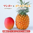 【送料無料・即発送可】沖縄県産アップルマンゴー&ゴールドバレル食べ比べセット 3玉(900g以上)&1玉(1kg以上)フルーツ 果物 盛り合わせ お中元 お歳暮...
