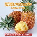 【送料無料・即発送可】沖縄県産パイナップル(パインアップル)