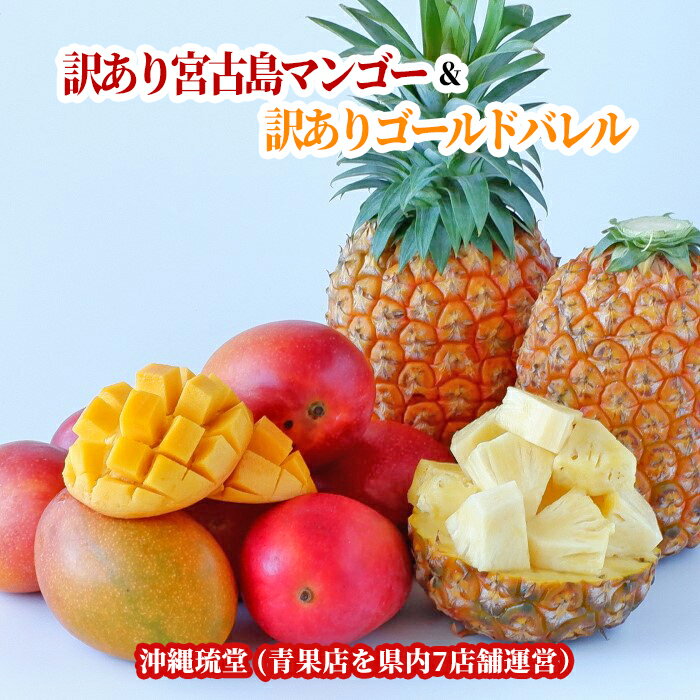 Rakuten - 【訳あり】宮古島アップルマンゴー＆【訳あり】ゴールドバレル食べ比べセット 1玉(300g以上)＆1玉(1kg以上)【送料無料・即発送可】 冷蔵便