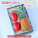 【ギフト最大限対応】【化粧箱入り】宮古島アップルマンゴー&大玉ゴールドバレル 2玉(660g以上)&1玉(1.6kg以上)【送料無料・即出荷可】自宅用 贈り物 ギフト 熨斗 お誕生日 お中元 御中元内祝 入学祝 快気祝 出産祝 手土産 結婚祝 父の日 母の日 冷蔵便