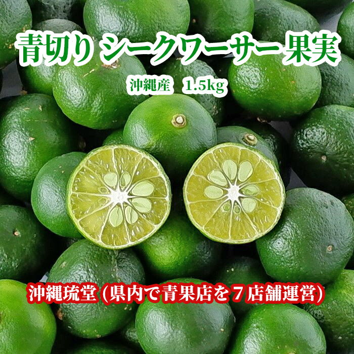 【送料無料・即発送可】沖縄県産 青切りシークワーサー果実1.5kg沖縄 国産 フルーツ シークアーサー シークワァサー