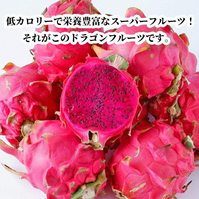 沖縄琉堂の【送料無料・即発送可】沖縄県産ドラゴンフルーツ(赤) 4kg(8～16玉)レッドピタヤ 食物繊維が豊富 無添加 沖縄 フルーツ 新鮮直送｜アングル3