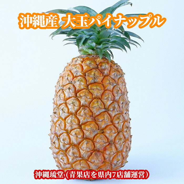 商品説明名称【大玉】パイナップル(パインアップル) 産地名沖縄県産内容量3玉(4.8kg以上)保存方法要冷蔵&nbsp;
