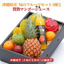 【全国送料無料】沖縄県産 旬のフルーツ詰め合わせセット3種類と贅熟マンゴージュース【化粧箱入り・ギフト最大限対応・好評の各フルーツ食べ方説明書付き】果物 盛り合わせ お中元 お歳暮 ギフト 贈り物 父の日 母の日 出産祝 手土産 結婚祝 父の日 母の日 新鮮直送