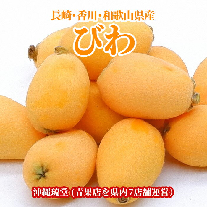 長崎 香川 和歌山県産びわ250g 2パック 長崎県が誇る高級フルーツ Rakuten ジューシーな果実に上品な甘さ 手で簡単に皮がむける